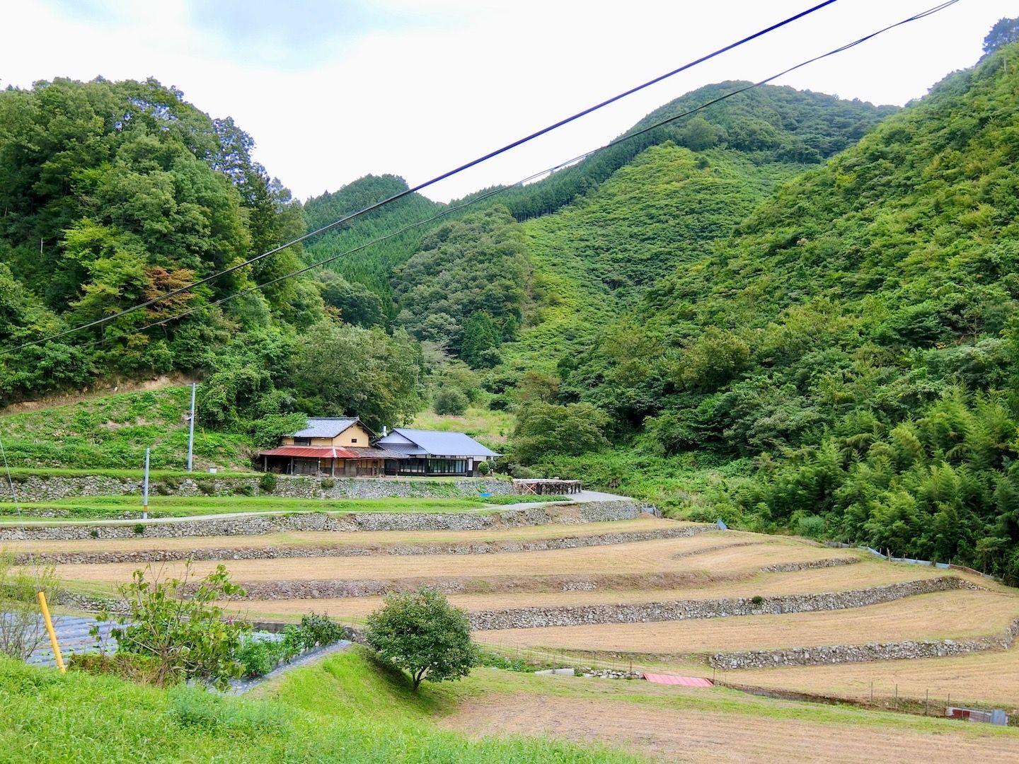 旅行_12,国内旅行_12,和文化_7