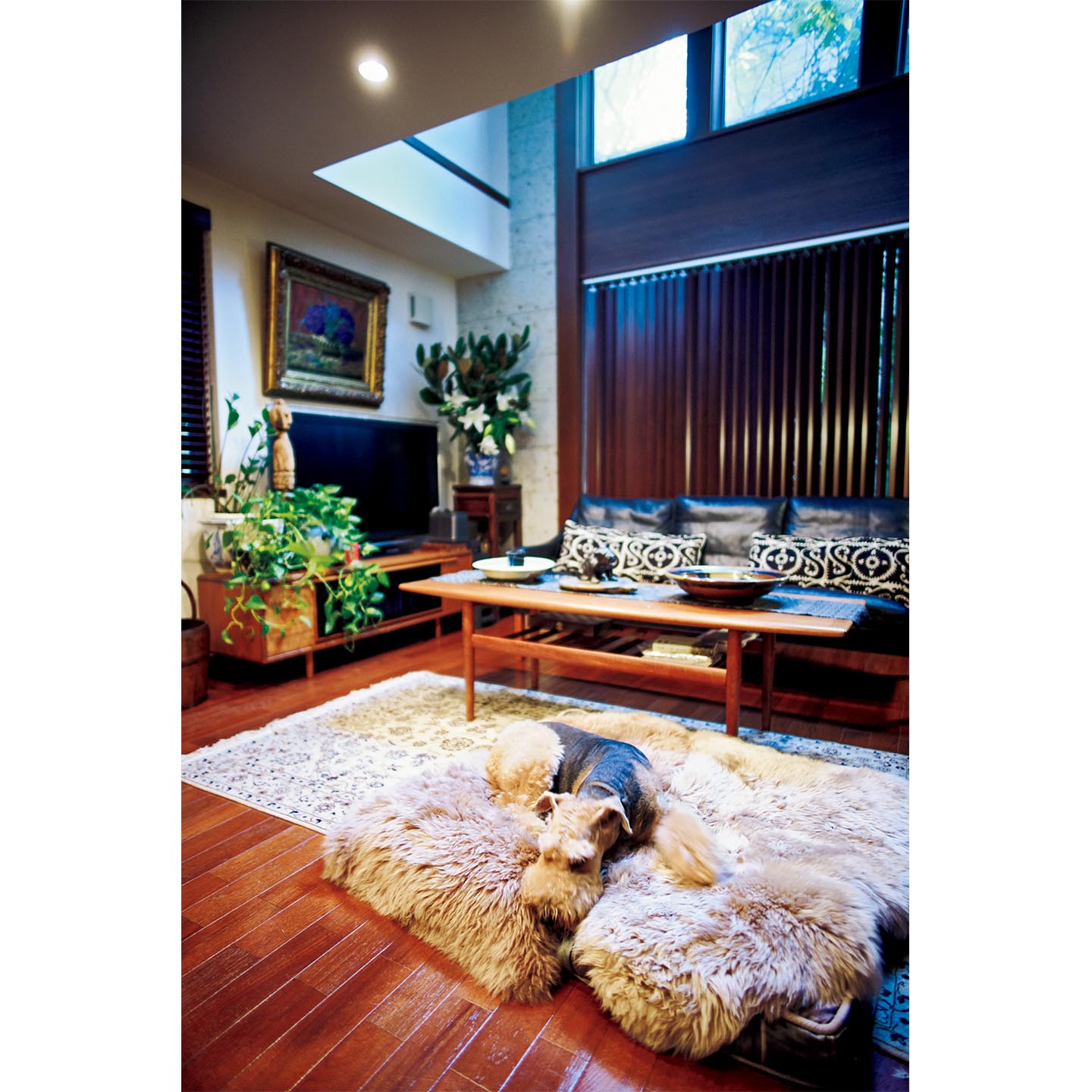 犬_2,IE Precious_6